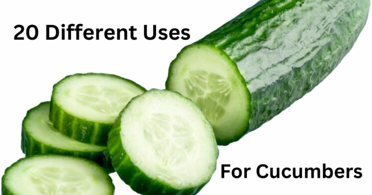 Different uses for cucumbers