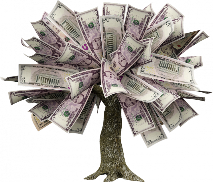 how to grow a money tree