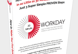 30 minute workday review